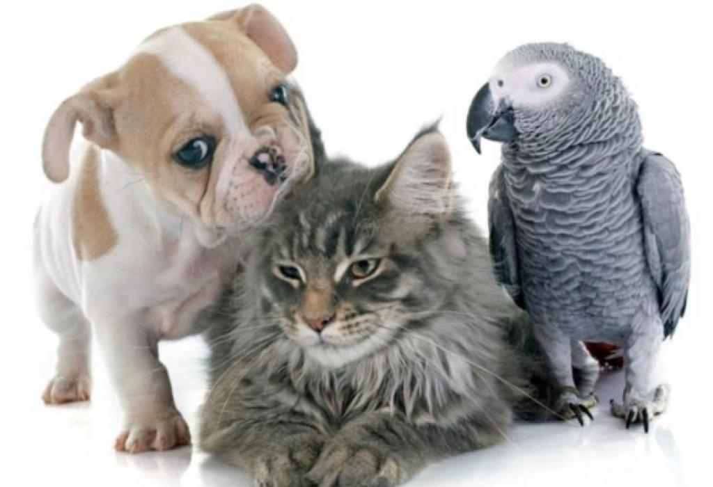 Captura-de-pantalla-2023-10-10-a-las-19.58.40